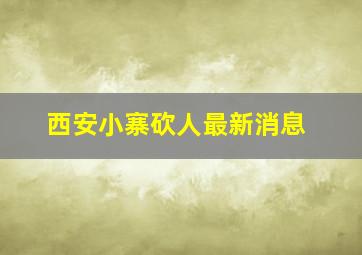 西安小寨砍人最新消息