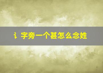 讠字旁一个甚怎么念姓