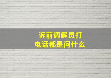 诉前调解员打电话都是问什么