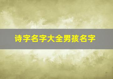 诗字名字大全男孩名字