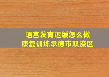 语言发育迟缓怎么做康复训练承德市双滦区