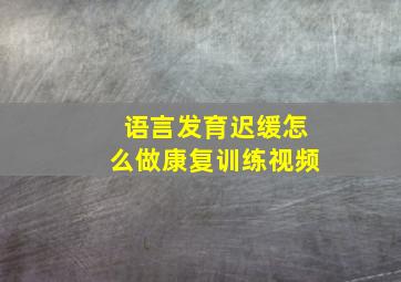 语言发育迟缓怎么做康复训练视频