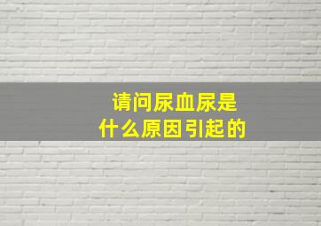 请问尿血尿是什么原因引起的