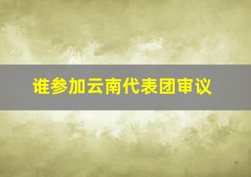 谁参加云南代表团审议