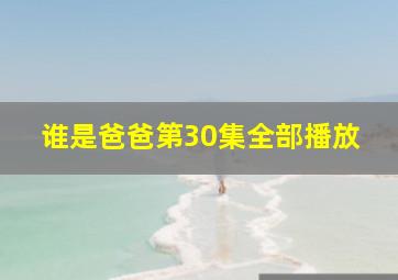 谁是爸爸第30集全部播放