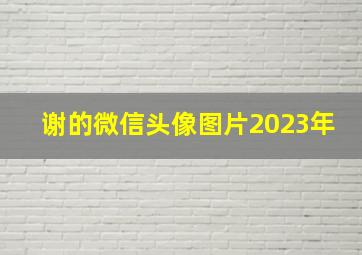 谢的微信头像图片2023年