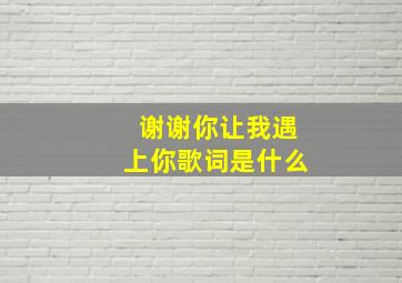 谢谢你让我遇上你歌词是什么