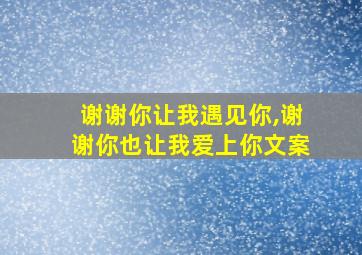 谢谢你让我遇见你,谢谢你也让我爱上你文案