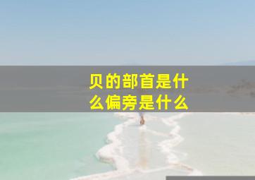 贝的部首是什么偏旁是什么