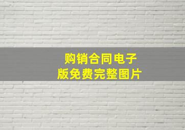 购销合同电子版免费完整图片