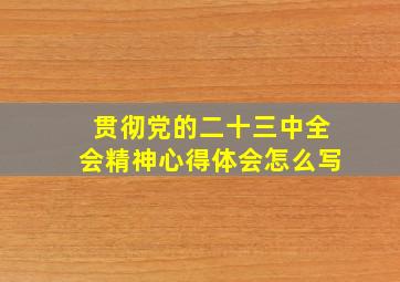 贯彻党的二十三中全会精神心得体会怎么写