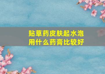 贴草药皮肤起水泡用什么药膏比较好