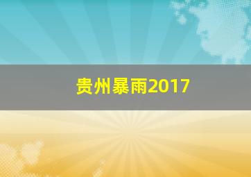 贵州暴雨2017