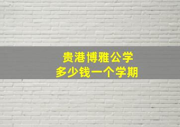 贵港博雅公学多少钱一个学期