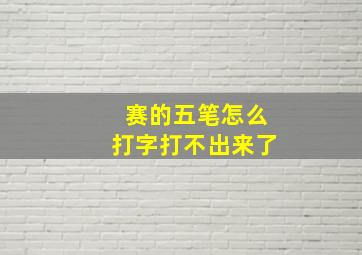 赛的五笔怎么打字打不出来了