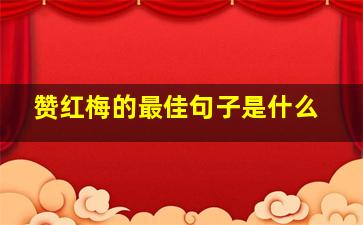 赞红梅的最佳句子是什么