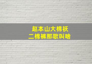 赵本山大棉袄二棉裤那歌叫啥