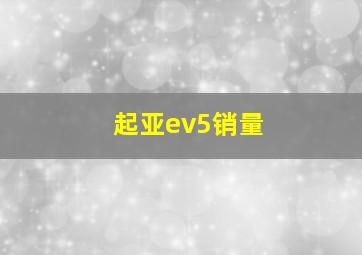 起亚ev5销量