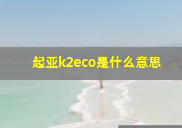 起亚k2eco是什么意思