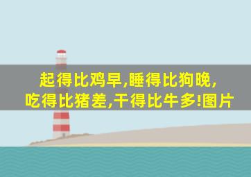 起得比鸡早,睡得比狗晚, 吃得比猪差,干得比牛多!图片