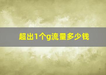 超出1个g流量多少钱