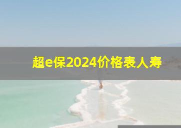 超e保2024价格表人寿