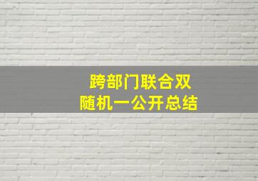 跨部门联合双随机一公开总结