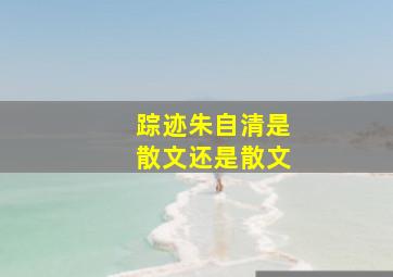 踪迹朱自清是散文还是散文