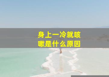 身上一冷就咳嗽是什么原因