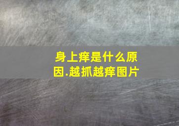 身上痒是什么原因.越抓越痒图片