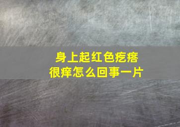 身上起红色疙瘩很痒怎么回事一片