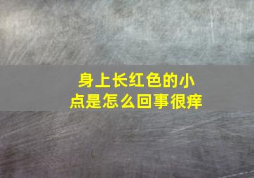 身上长红色的小点是怎么回事很痒