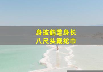 身披鹤氅身长八尺头戴纶巾