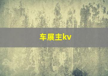 车展主kv