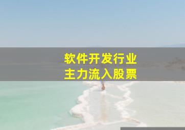 软件开发行业主力流入股票