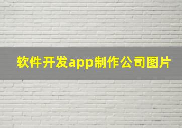 软件开发app制作公司图片