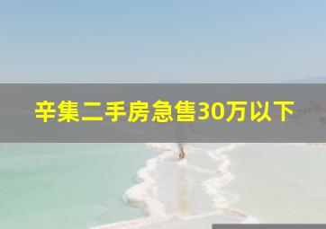 辛集二手房急售30万以下