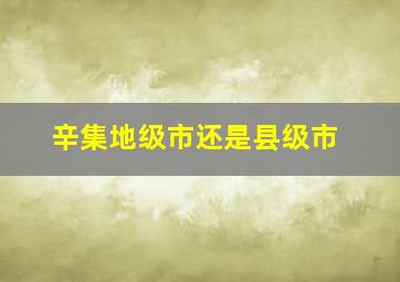 辛集地级市还是县级市