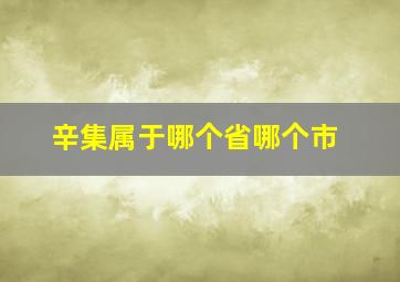 辛集属于哪个省哪个市