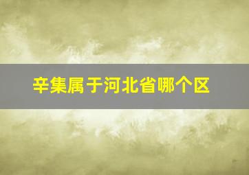 辛集属于河北省哪个区