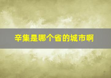 辛集是哪个省的城市啊