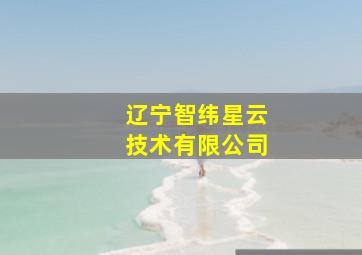 辽宁智纬星云技术有限公司