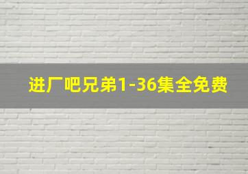 进厂吧兄弟1-36集全免费