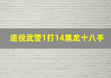 退役武警1打14黑龙十八手