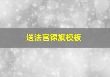 送法官锦旗模板