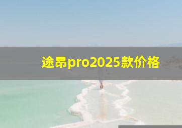 途昂pro2025款价格