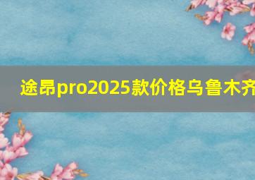 途昂pro2025款价格乌鲁木齐