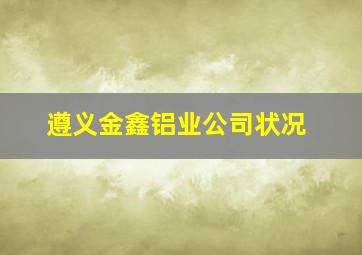 遵义金鑫铝业公司状况