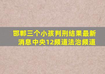 邯郸三个小孩判刑结果最新消息中央12频道法治频道