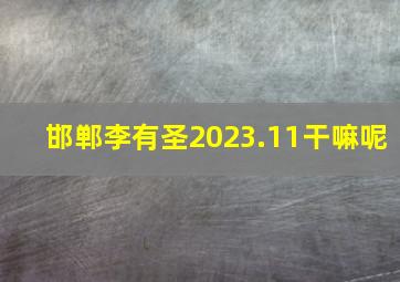 邯郸李有圣2023.11干嘛呢